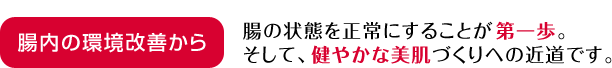 腸内の環境改善から 腸の状態を正常にすることが第一歩。そして、健やかな美肌づくりへの近道です。